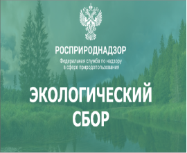 Важная информация для предпринимателей: РОП и экологический сбор