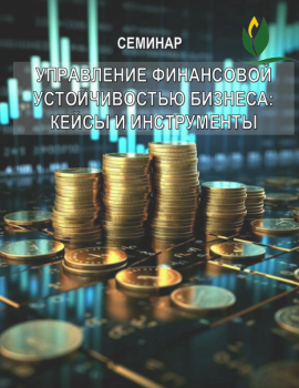 Семинар на тему «Управление финансовой устойчивостью бизнеса: кейсы и инструменты»