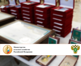 Награждение лучших работников агропромышленного комплекса Приморского края