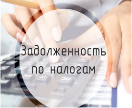 УФНС России по Приморскому краю напоминает ЮЛ и ИП о необходимости уплаты задолженности
