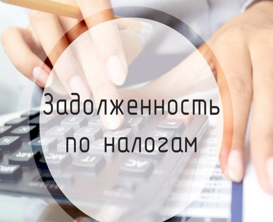 УФНС России по Приморскому краю напоминает ЮЛ и ИП о необходимости уплаты задолженности