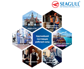 Идет сбор информации о предпринимателях, заинтересованных в сотрудничестве с рекрутинговой компанией Seagull International LLP