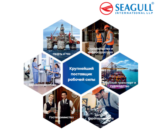 Идет сбор информации о предпринимателях, заинтересованных в сотрудничестве с рекрутинговой компанией Seagull International LLP
