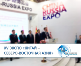  Ежегодная международная выставка-ярмарка XV ЭКСПО «Китай – Северо-Восточная Азия»