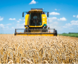 Информация о численности работников агропромышленного комплекса