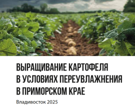 Центром компетенций в сфере сельского хозяйства разработана информационно-методическая брошюра