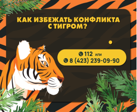 Правительство края подготовило информационные буклеты о мерах безопасности при встрече с хищником