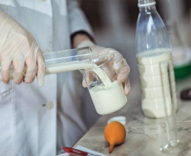 Поступила информация о фактах оборота фальсифицированной молочной продукции