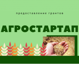 Минсельхоз ПК проводит конкурсный отбор на получение гранта «Агростартап»