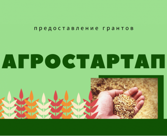 Минсельхоз ПК проводит конкурсный отбор на получение гранта «Агростартап»