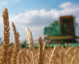 Россельхознадзор предоставил перечень продукции и стран, открытых к экспорту в 2025 году