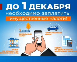 Межрайонная ИФНС России № 12 по Приморскому краю напоминает о необходимости уплаты физическими лицами налогов